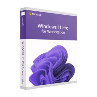 Windows 11 Pro for Workstations