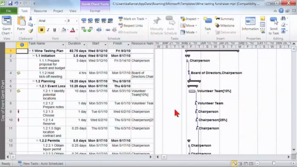 Microsoft Project 2010 Professional