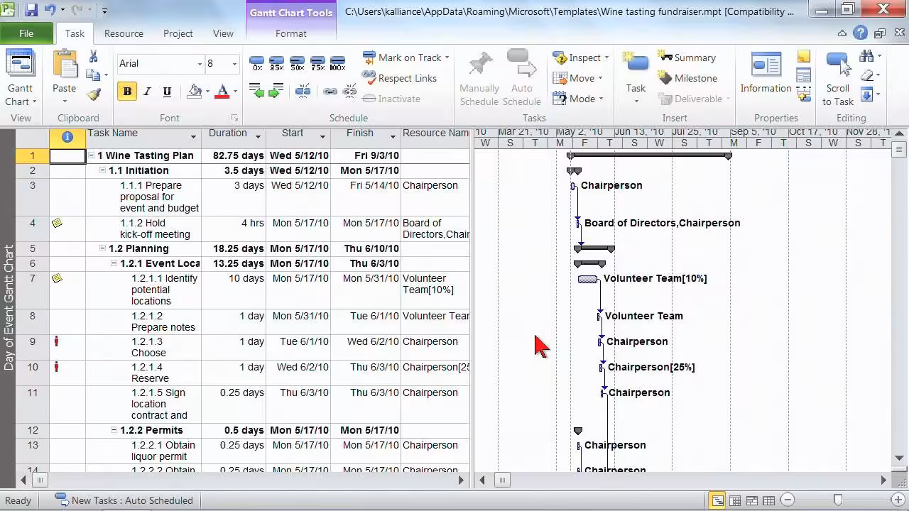 Microsoft Project 2010 Professional