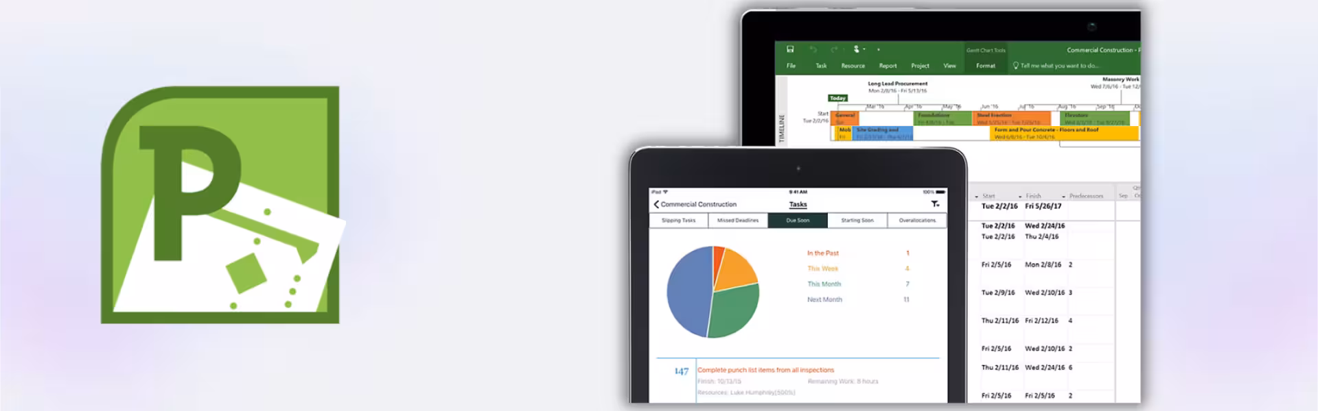 Microsoft Project 2010 Professional