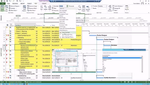 Microsoft Project 2013 Professional