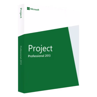 Microsoft Project 2013 professional