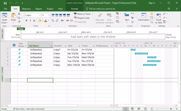 Microsoft Project 2019 Professional