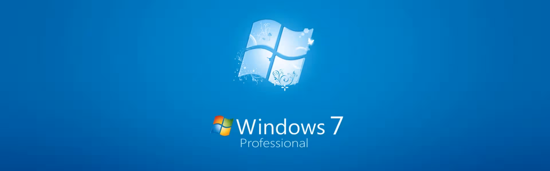 Windows 7 Professional